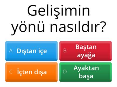 GELİŞİM SORULARI