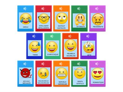 PI - A1 - caractère au masculin/ au féminin (FLASHCARDS AUDIO) 