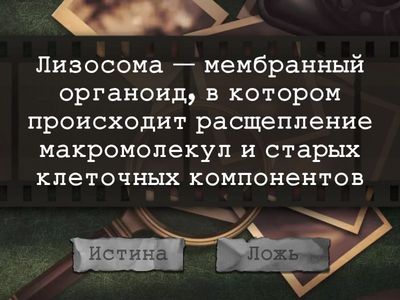 Органоиды правда или ложь