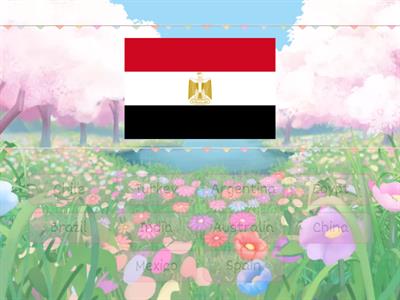  Countries and flags_Super minds 3 Unit 8