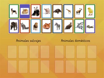 Clasificación de animales