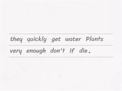 Zero/First Conditional Unjumble
