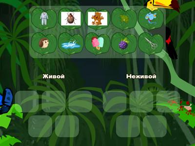 Звук Ж. Словосочетания_Живой-неживой 