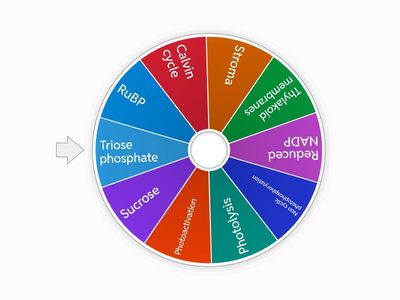 AL Photosynthesis Revision
