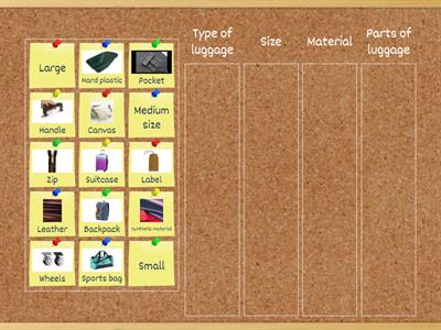 Vocabulary for describing luggage at the airport