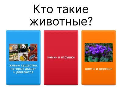 Кто такие животные