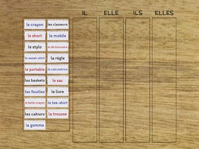 Bien dit! 1 - Vocabulaire 4.2 - IL, ELLE, ILS, ELLES