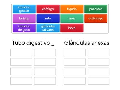 Sistema digestivo: Tubo digestivo e glândulas anexas