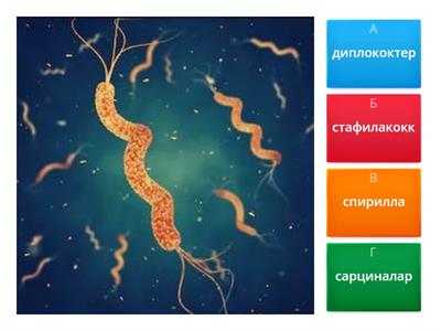 микробиология