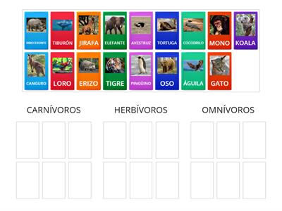 Animales carnívoros, herbívoros y omnívoros