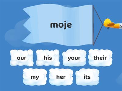 possessive pronouns