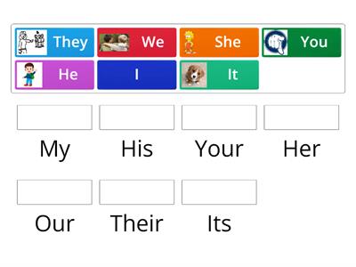 Possessive Adjectives