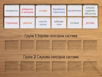 Сенсорні системи