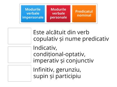 Verbul