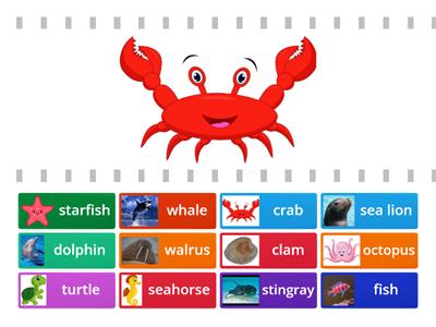 Sea animals sorting 