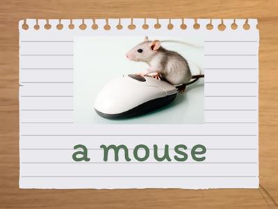 Module 4 Vocabulary