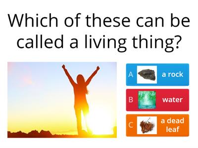 Fun Living and Non-Living Quiz 