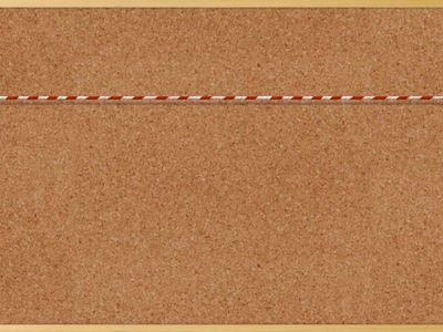 Смотри и запоминай