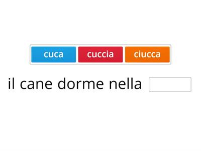 SEGLI LA PAROLA MANCANTE GIUSTA (discriminazione suoni CA/CIA, CO/CIO, CU/CIU)