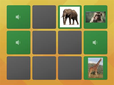 UNIT 4 - I LIKE MONKEYS! - LESSON 1