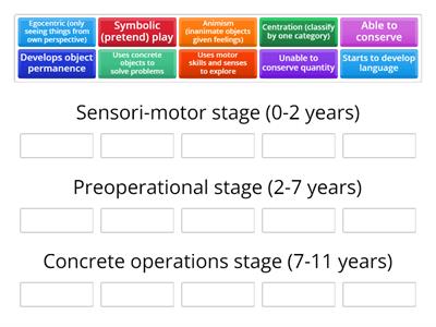 Piaget's stages of cognitive development 