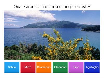 La flora e la fauna del mare