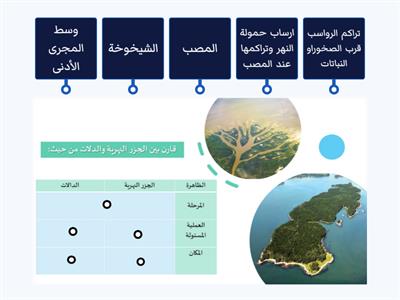 قارن بين الجزر النهرية والدالات 