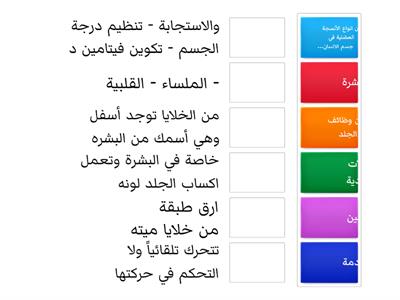 الجلد والعضلات