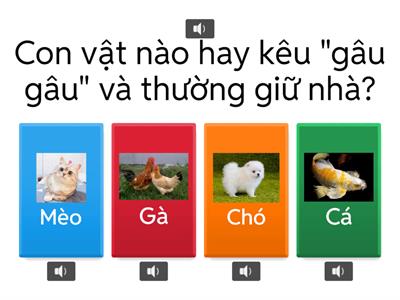 Đố vui về con vật sống trong gia đình - Trần Nguyễn Ức My - Chồi 2
