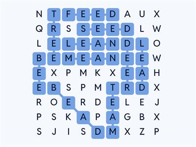 Me2a English "E" Sound Wordsearch