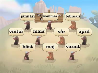 månader