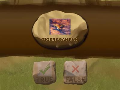 TRUE OR FALSE? - Animals