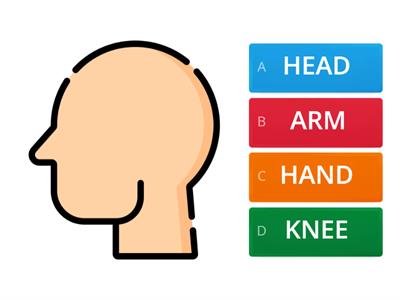 G1_U5_Quiz _ Parts of the body