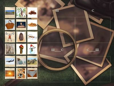  Дифференциация С-Ш