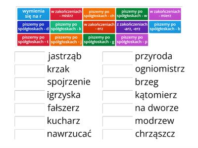 pisownia rz