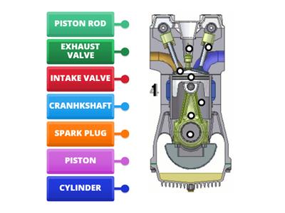 ALBERO MOTORE IN INGLESE
