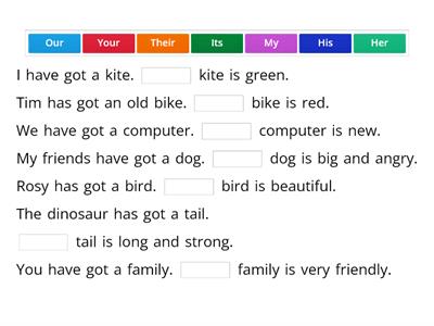 possessive adjectives FF3 Unit 3