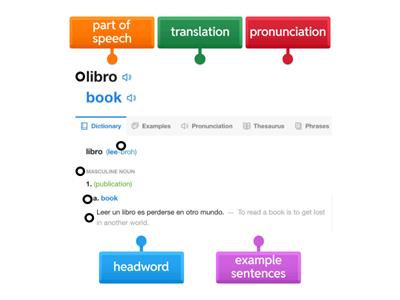 Bilingual Dictionary Entry Labeling