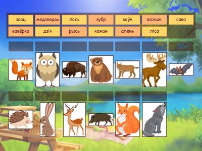 Лясныя жывёлы