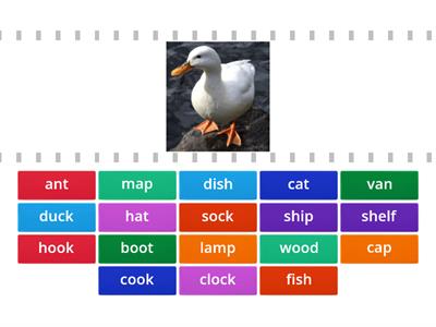 Rainbow English 2 Steps 15-21