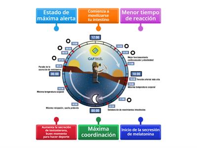 Ciclo circadiano