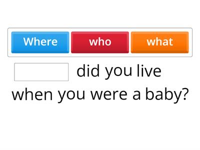 a1.3 WH QUESTIONS past