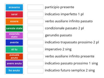 verbi essere e avere