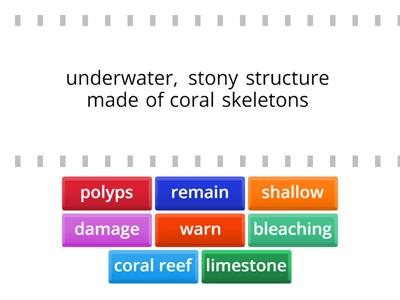 TIME ZONES 4 - UNIT 6 - VOCABULARY