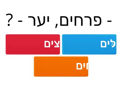 העשרה לשונית 4 - אנלוגיות (הקשים)