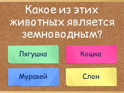 Урок естествознания: Земноводные, Млекопитающие и Насекомые