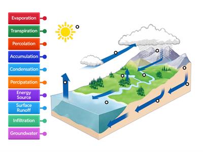 Water Cycle Labeling