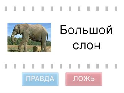 Какой? Какая? Какое?