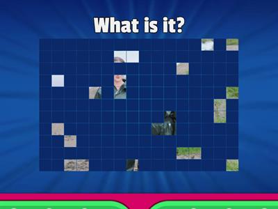 English Plus 1: unit 8: vocabulary