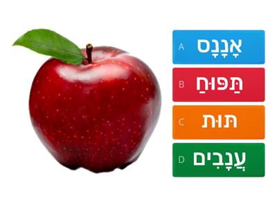 פְּרִי/ פֶירְוֹת(fruta/frutas)